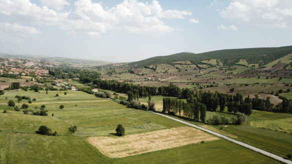 Çadırardıç Köyü - Genel Manzara