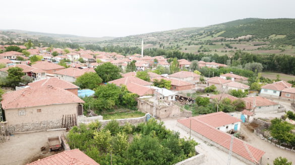 Çadırardıç Köyü - Genel Manzara