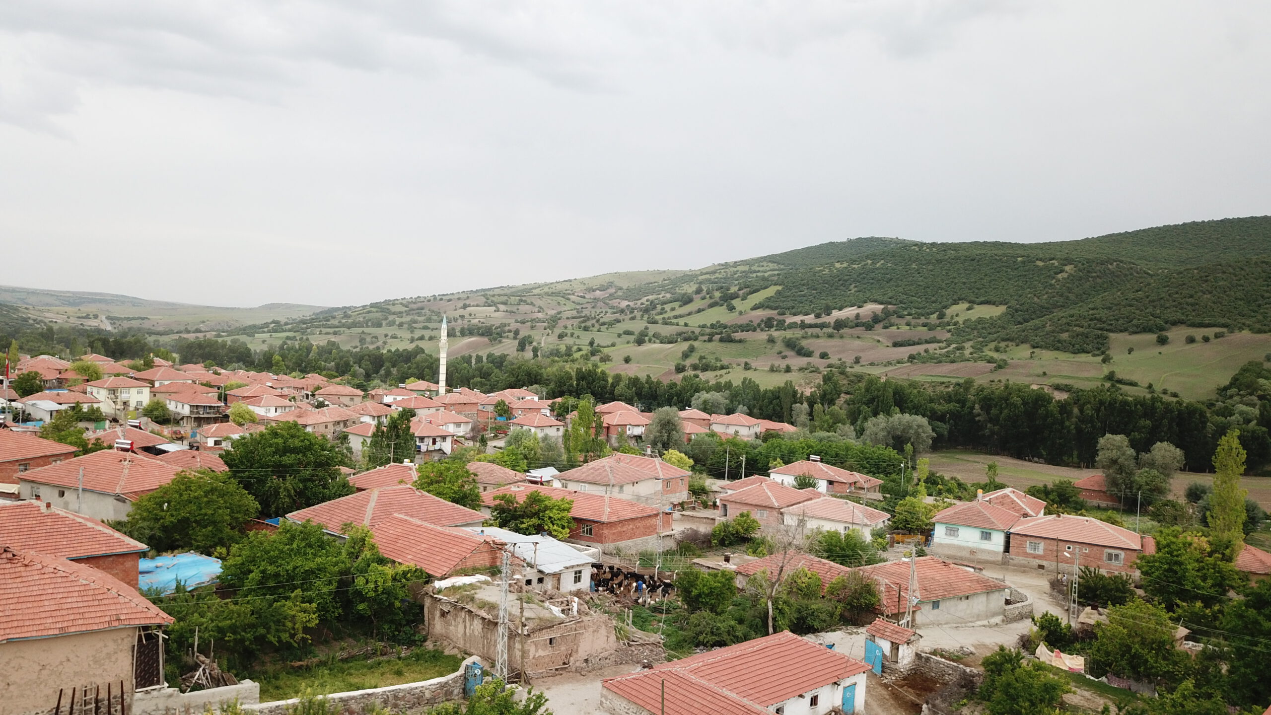 Çadırardıç Köyü - Genel Görünüm