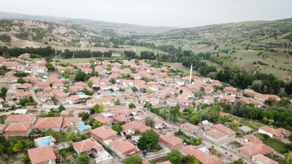 Çadırardıç Köyü - Genel Manzara