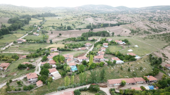 DCIM100MEDIADJI_0092.JPG