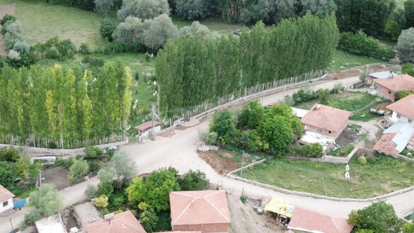 Çadırardıç Köyü - Genel Manzara