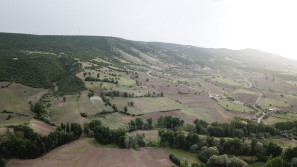 Çadırardıç Köyü - Genel Manzara